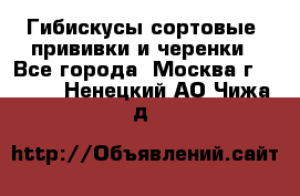 Гибискусы сортовые, прививки и черенки - Все города, Москва г.  »    . Ненецкий АО,Чижа д.
